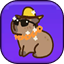 Crazy Skins: